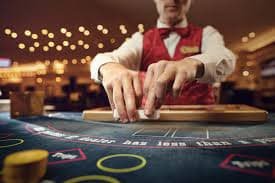 mybet88 background